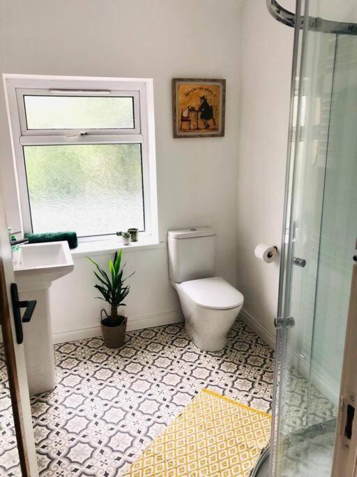 Cosy House, Lisburn Road Villa Белфаст Екстериор снимка